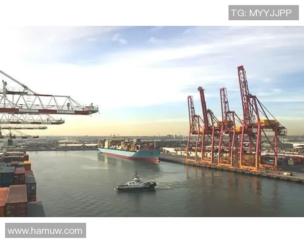 天价违约金对商业合同的影响及其利弊分析探讨